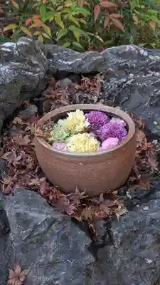 野見神社(大阪府)