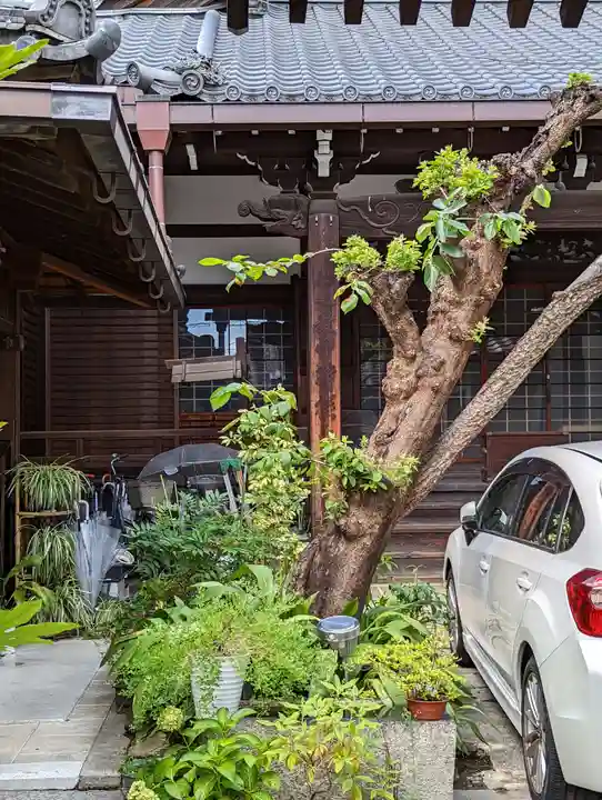 専定寺(京都府)