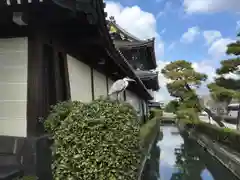 東本願寺（真宗本廟）の動物