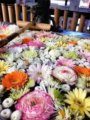 高円寺氷川神社(東京都)