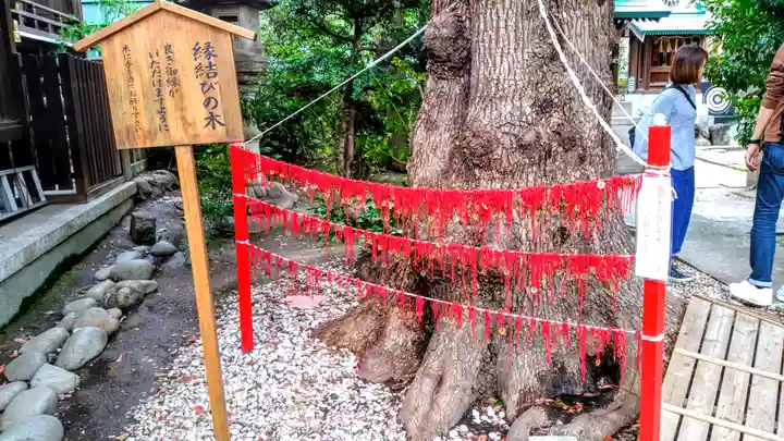 三輪神社の自然