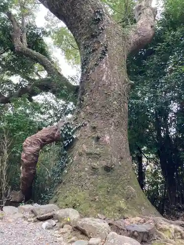月讀宮（皇大神宮別宮）(三重県)