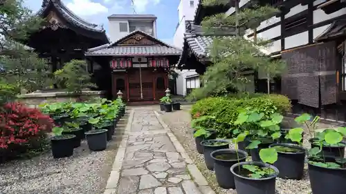 行願寺（革堂）(京都府)