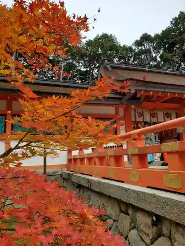 大原野神社の自然