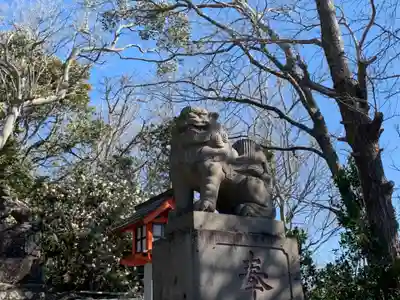 鶴峰八幡神社の狛犬