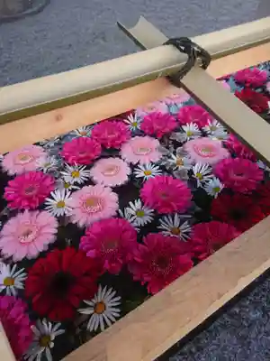 浅草神社の手水舎