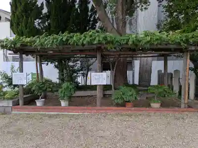 野田恵美須神社(大阪府)