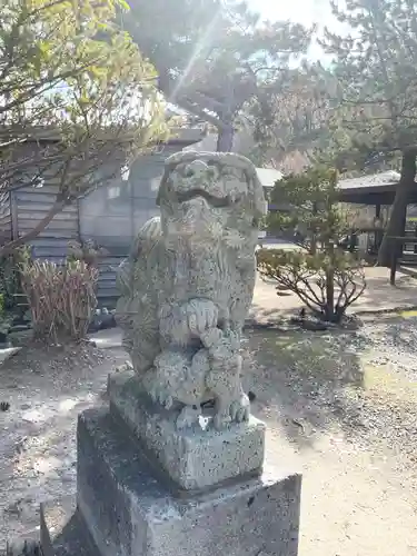 🌸乙部八幡神社の狛犬