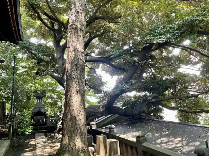 諏方神社(東京都)