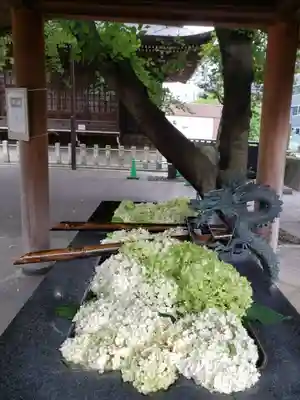 熊野神社(東京都)