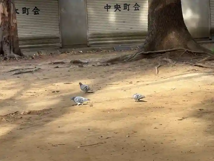 譽田八幡神社(千葉県)