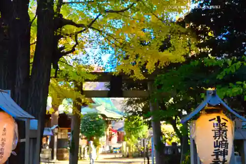 小野照崎神社(東京都)