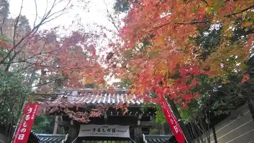 法輪寺の山門