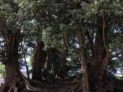 八日市普活廼神社(福井県)