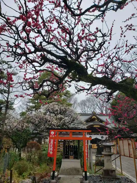 布多天神社(東京都)