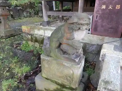 杉山社（帷子町杉山社・久保杉山神社）の狛犬