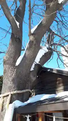 札幌諏訪神社のその他建物