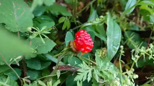 稲荷神社（伊豆の国市）(静岡県)