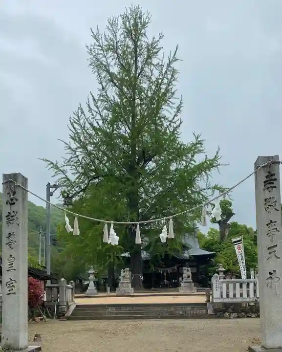賀羅加波神社(広島県)