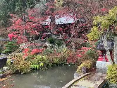 大国寺(兵庫県)
