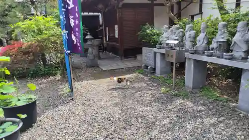 行願寺（革堂）(京都府)