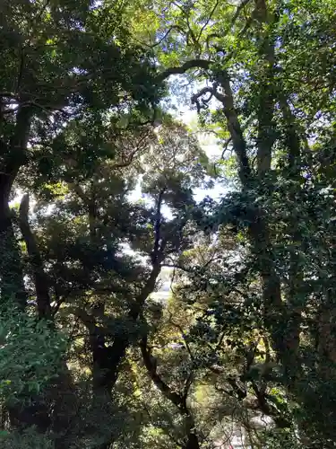 蛟蝄神社門の宮(茨城県)