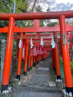佐助稲荷神社の鳥居