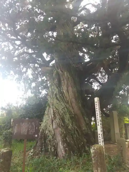 城願寺(神奈川県)