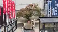法雲寺(京都府)