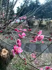 穴原薬師堂(群馬県)