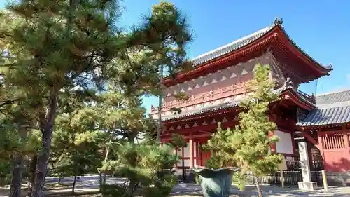 妙心寺（妙心禅寺）の山門・神門