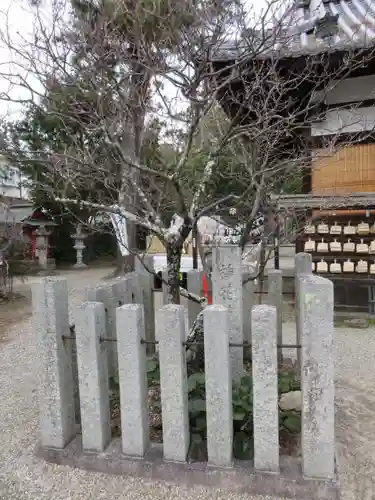 菅原天満宮（菅原神社）の自然