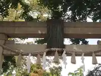稲荷神社の鳥居