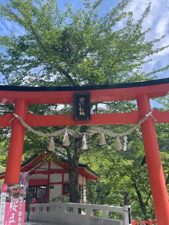 金櫻神社(山梨県)