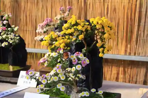 橿原神宮(奈良県)