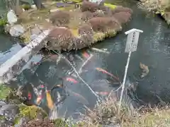 天龍寺(京都府)