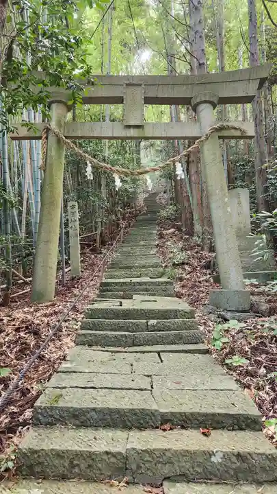 宇賀神社(新潟県)