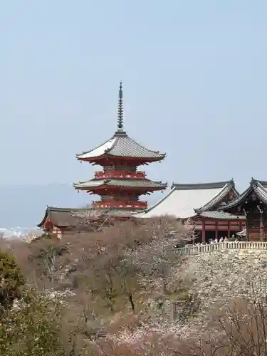 清水寺の{uncategorized: "未分類", other: "その他", undefined: "問題あり", building: "その他建物", grave: "お墓", sacred_gate: "鳥居", guardian: "狛犬", statue: "像", buddha: "仏像", history: "歴史", nature: "自然", garden: "庭園", animal: "動物", pagoda: "塔", temizu: "手水舎", mountain_gate: "山門・神門", sanctuary: "本殿・本堂", subordinate: "末社・摂社", art: "芸術", scenery: "景色", jizo: "地蔵", ema: "絵馬", goshuin: "御朱印", omikuji: "おみくじ", items: "授与品その他", amulet: "お守り", goshuincho: "御朱印帳", eats: "食事", festival: "お祭り", votive_dance: "神楽", shichigosan: "七五三参", wedding: "結婚式", experience: "体験その他", initially: "初詣", around: "周辺", anti_infection: "感染症対策"}