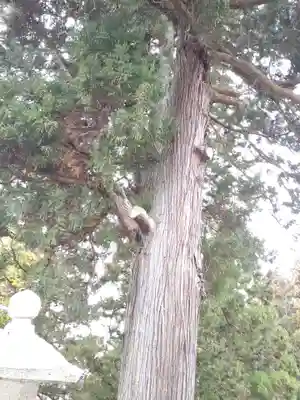 光明寺(宮城県)