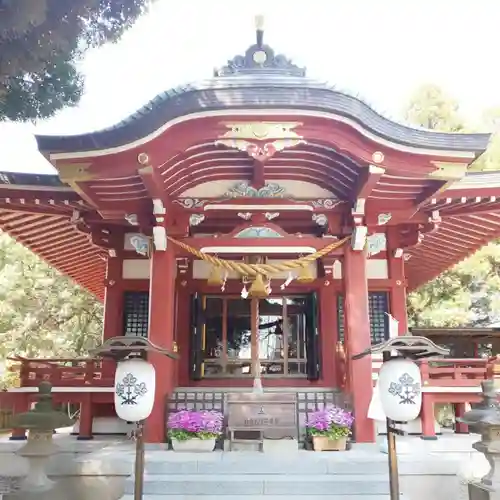 柏諏訪神社の本殿・本堂