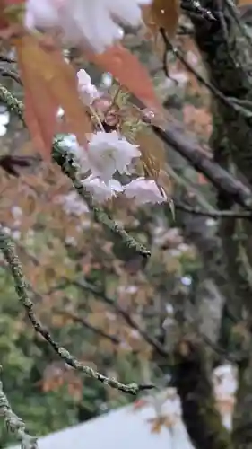 石山寺(滋賀県)