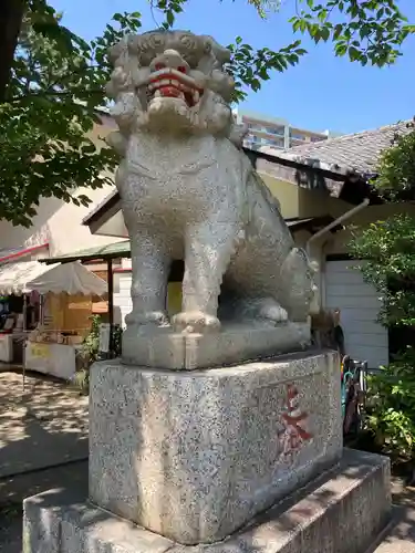 平塚三嶋神社の狛犬