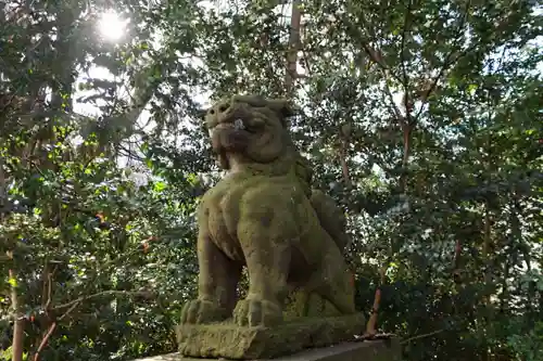 愛宕神社の狛犬