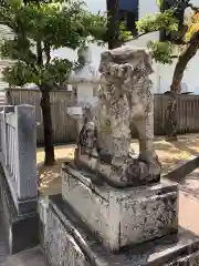 事代主神社の狛犬