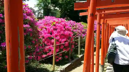根津神社(東京都)