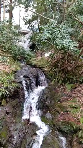 白山比咩神社の周辺