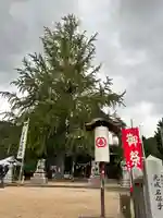賀羅加波神社のその他建物