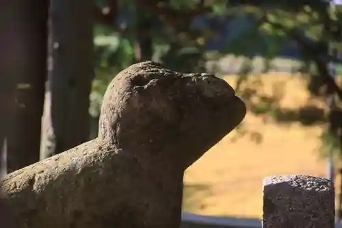 阿久津「田村神社」（郡山市阿久津町）旧社名：伊豆箱根三嶋三社の狛犬