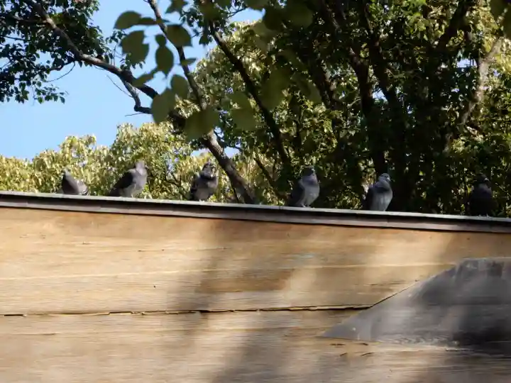熱田神宮の{uncategorized: "未分類", other: "その他", undefined: "問題あり", building: "その他建物", grave: "お墓", sacred_gate: "鳥居", guardian: "狛犬", statue: "像", buddha: "仏像", history: "歴史", nature: "自然", garden: "庭園", animal: "動物", pagoda: "塔", temizu: "手水舎", mountain_gate: "山門・神門", sanctuary: "本殿・本堂", subordinate: "末社・摂社", art: "芸術", scenery: "景色", jizo: "地蔵", ema: "絵馬", goshuin: "御朱印", omikuji: "おみくじ", items: "授与品その他", amulet: "お守り", goshuincho: "御朱印帳", eats: "食事", festival: "お祭り", votive_dance: "神楽", shichigosan: "七五三参", wedding: "結婚式", experience: "体験その他", initially: "初詣", around: "周辺", anti_infection: "感染症対策"}