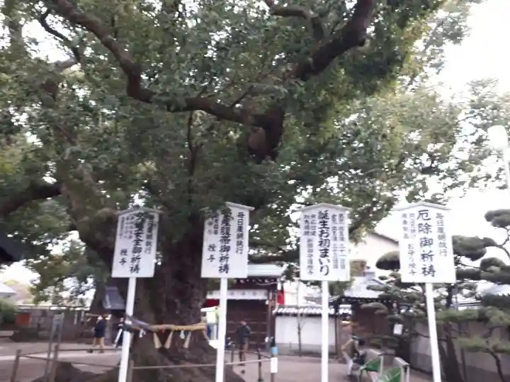 大聖観音寺(あびこ観音)(大阪府)